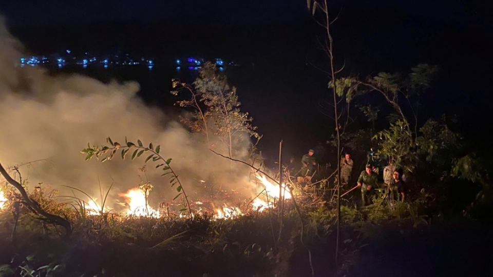 Forest fire fully contained overnight in central Vietnam